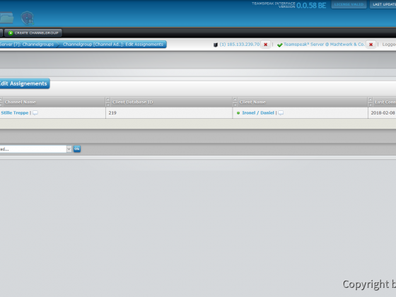 Teamspeak Interface Virtual Server Channelgroup Assignements