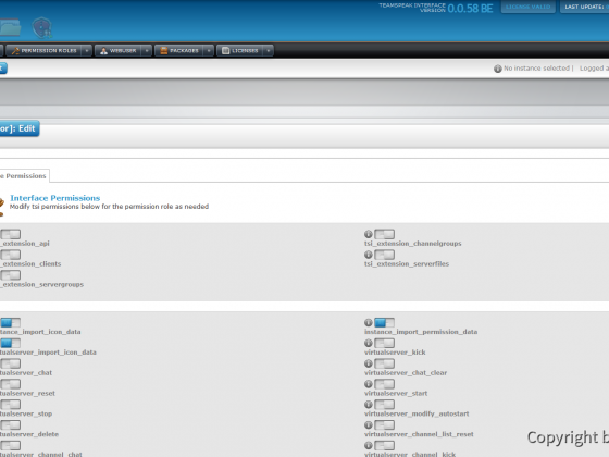 Teamspeak Interface Permission Role Options