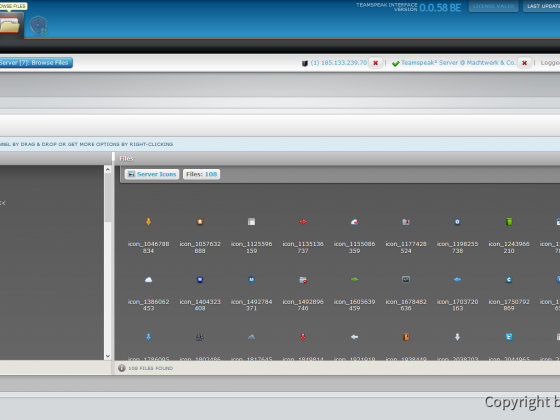 Teamspeak Interface Virtual Server Icon and File Management