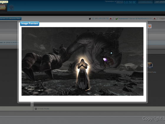 Teamspeak Interface Virtual Server Live Image Preview